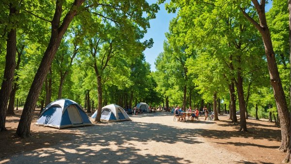 Guide Ultime pour des Vacances Famille en Camping en Ardèche Sud: Découvrez le Charme de la Région